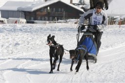 Lenk 2012 SM